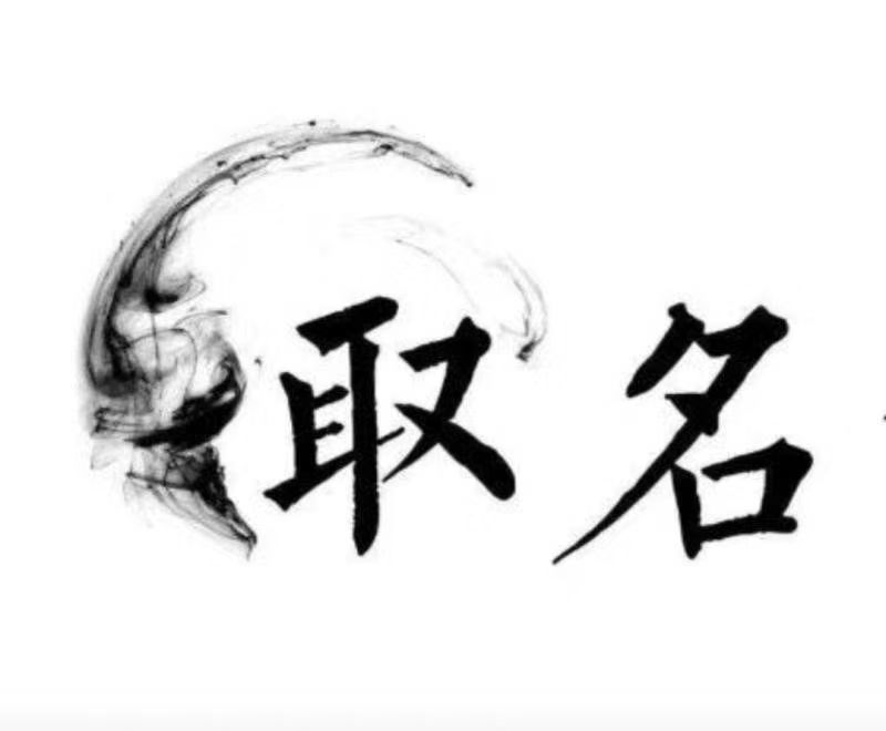  西林宝宝取名 大师一对一人工起名