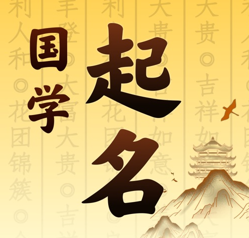 西林国学起名 人工起名一对一